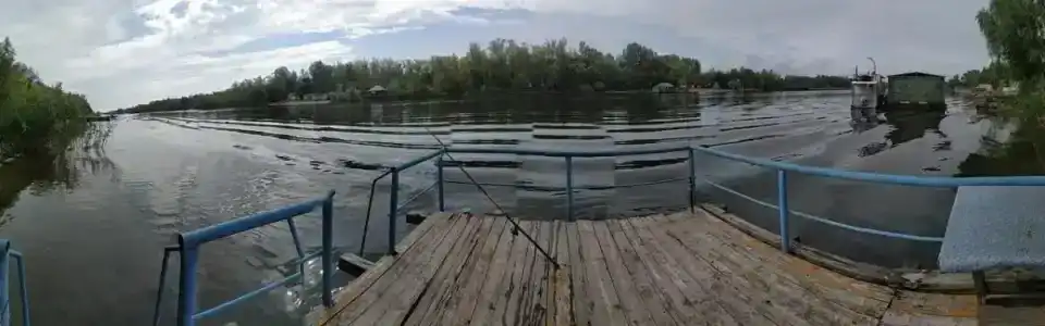 Бодрость - 20