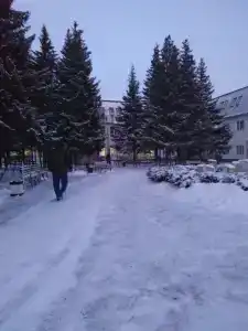 Светлый - 29