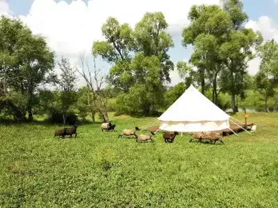 FamilyGlamp Куликово Поле - уютный семейный глэмпинг на берегу реки - 15