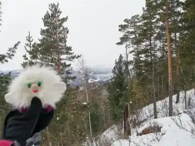 Таловский лог - 22