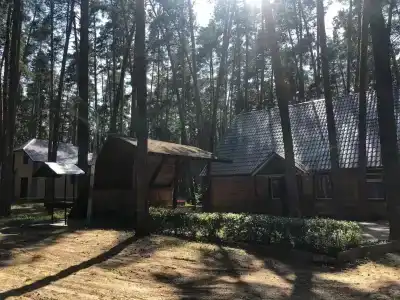 Уютный лес - 4