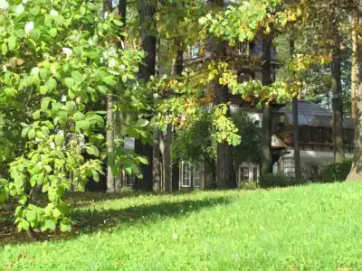 Битца - 30