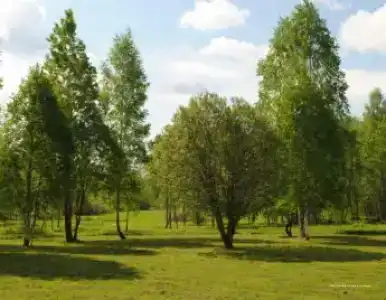 Емельяново - 67