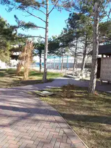 Золотой берег - 25