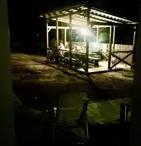 Сосновый бор - 11