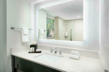Embassy Suites by Hilton- Lake Buena Vista Resort - 10
