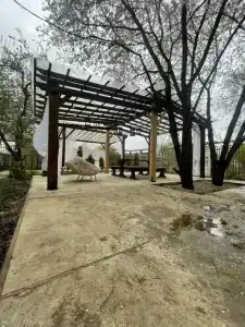 Васильевка - 20