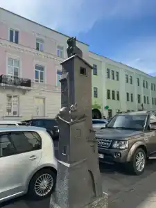 5 колец - 39