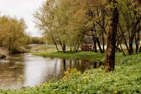 Спа-Сад Растущих Камней - 18