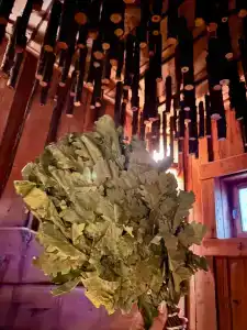 Магия леса - 83