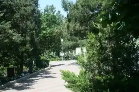 Рассвет - 11