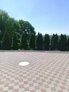 Вишневая поляна - 39