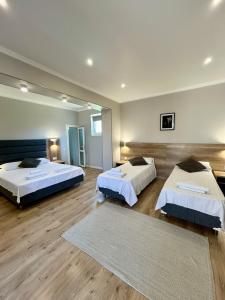 Альбатрос - 21