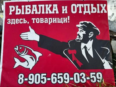 Экоферма в Василево - 15