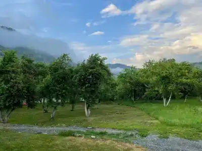 Алама - 24