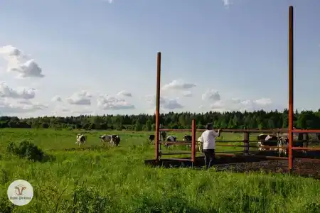 Буренкино Царство - 16