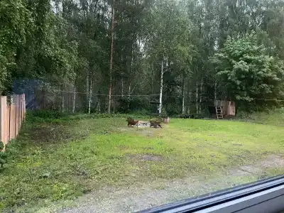 Усадьба Гирвас - 28