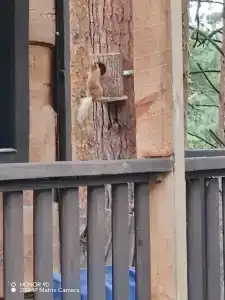 Суеты. нет - 31