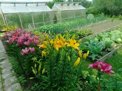 Эко-дом у реки - 13