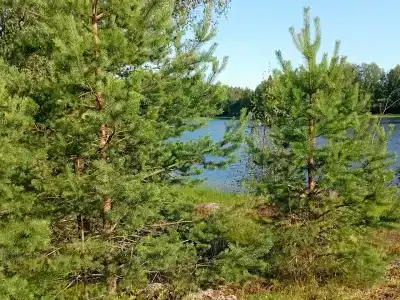 Форт Верный - 37