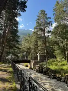 Эдельвейс - 84