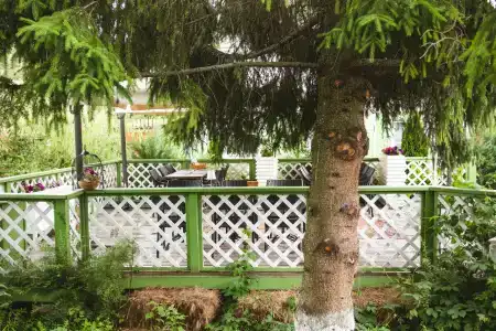 Генеральская Дача - 77