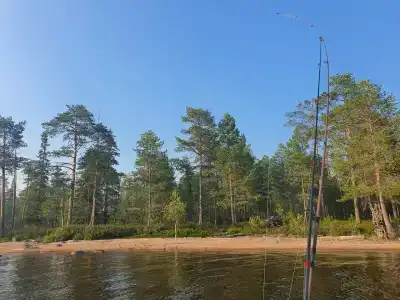 Коккосалма - 12