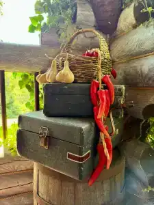Рубикон - 48