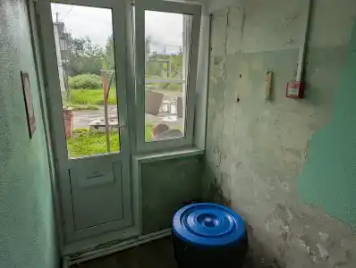 Фиона - 10