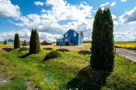 Королевская охота - 26