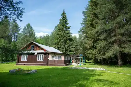 Сосновые шишки - 4