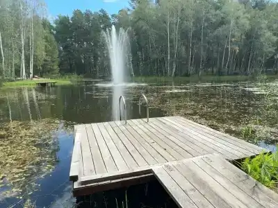 Лесная - 6