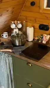 Залесье - 40