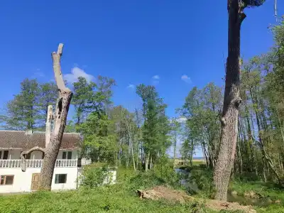 Кена-парк - 24