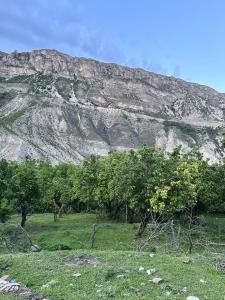 У Каньона - 15