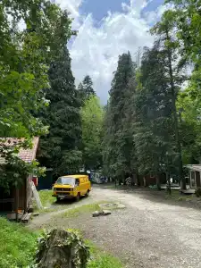 Зайки в домике - 26