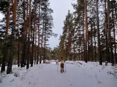 Сириус - 5