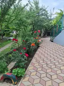 у двух сестёр - 12