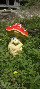 Жемчужина - 12