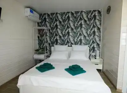 ГоаЛубицкая - 2