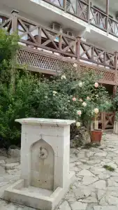 Сервет - 15