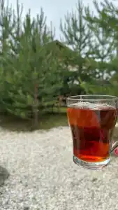 Introvert House - 15