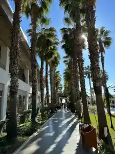 Royal Garden Beach - 18