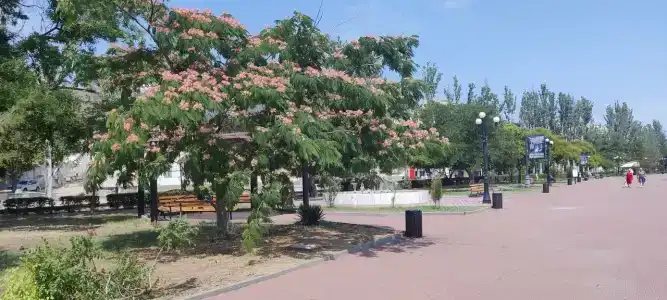 Лавандин - 42