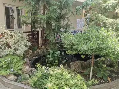 у Александра - 9