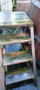 Лесотерапия - 29