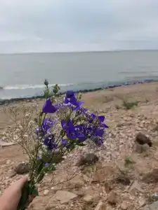 Уникальный отдых на озере Ханка - 9