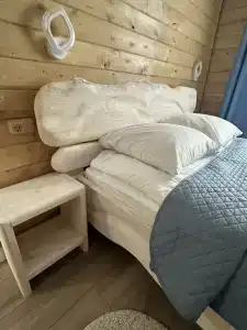 Dмитриевский - 19