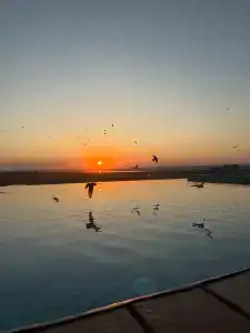 Фридом Веселовка - 92