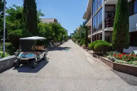 Вязовая роща - 75